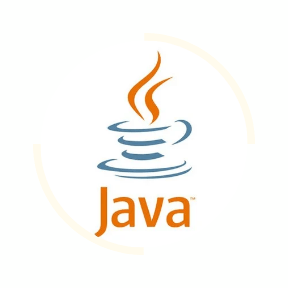 Python vs Java in 2024