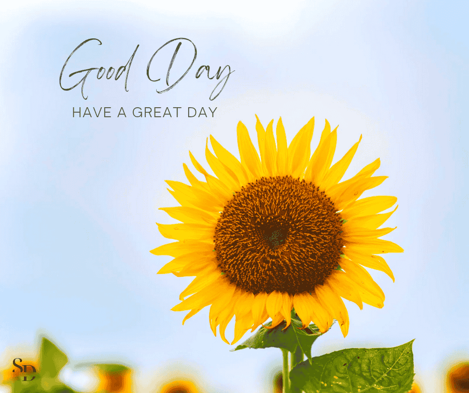 200 Good Day Quotes and Messages