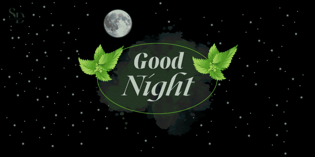 365 Days Good Night Messages to Girlfriend